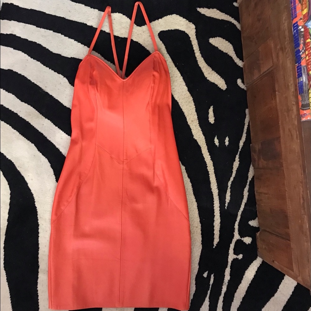 No Hiding in This Leather Dress!